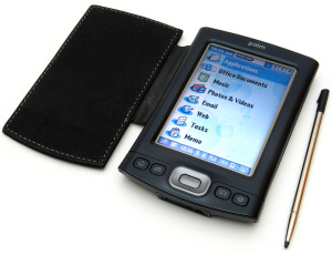 https://i.cdn29.hu/apix/0601/palm_tx.jpg
