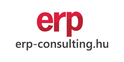 erp-consulting