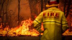 A legújabb Humble Bundle bevételei az ausztráliai tűzvész elleni harcban segítenek kép