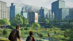 The Last of Us Remastered - jobban néz ki, mint hitted kép