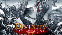 Divinity: Original Sin 2 - teljesült az összes Kickstarter cél kép
