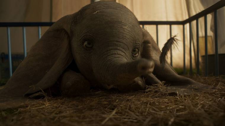 Megríkat az új Dumbo trailer bevezetőkép