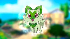 Az internet imádja a Pokémon új füves cicáját, Sprigatitóval van tele a Twitter kép