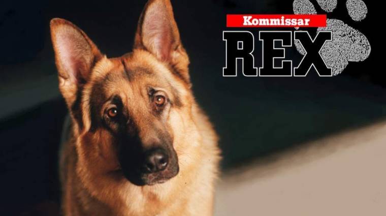 Új GameStar ranglétra #3 - Rex felügyelő bevezetőkép