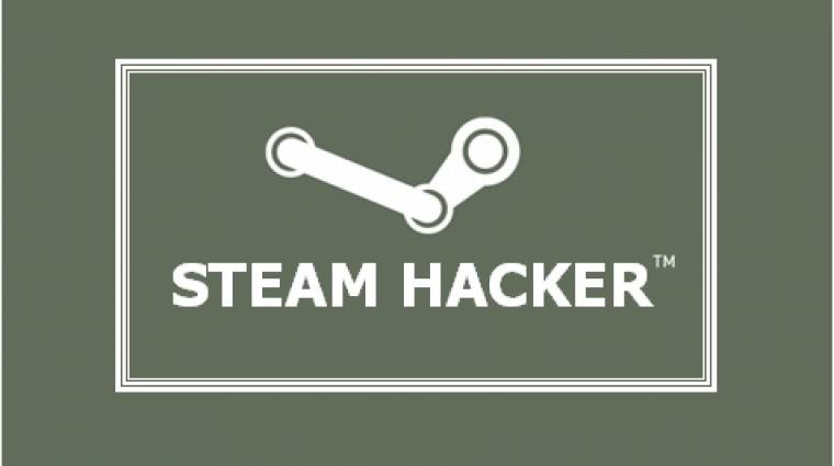 DDoS támadás alatt a Steam is? bevezetőkép