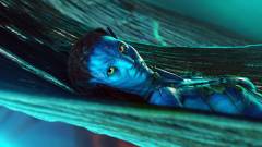 Az Avatar folytatások kudarca nem opció kép