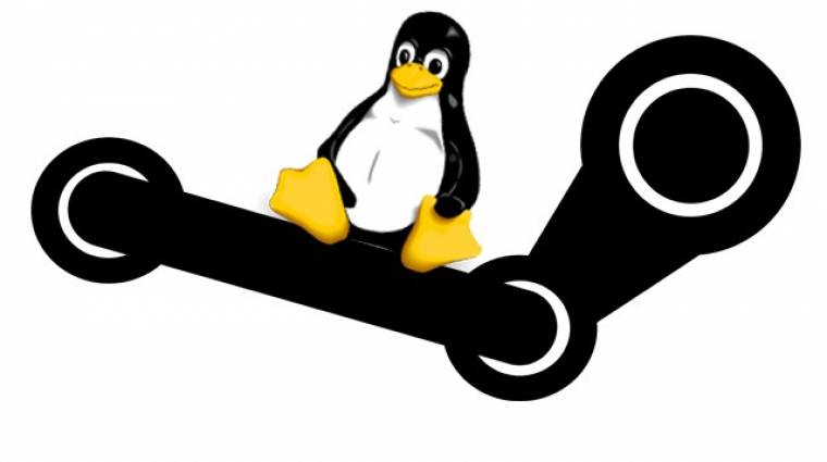 A Valve több módon is támogatja a Linuxot bevezetőkép