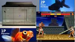 Két hal épp Street Fighterezik Twitchen kép