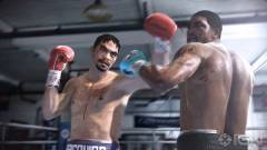 Fight Night Champion - jövőre érkezik Xbox 360-ra és PlayStation 3-ra kép