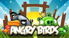 Angry Birds - PlayStation 3-ra, PSP-re és DS-re is kép