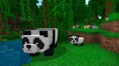 Minecraft - cukibb cicák és pandamacik az 1.8.0-s frissítésben kép