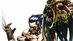 Wolverine vs Predator - ki nyerne? kép