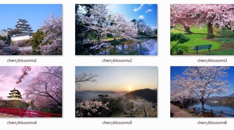 Napi tipp: Cherry Blossom téma Windows 7-hez kép