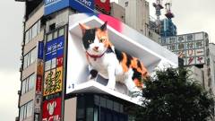 Hatalmas digitális macska vette át Tokió egyik legjelentősebb kültéri reklámfelületét kép
