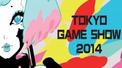 Tokyo Game Show - nézd élőben a Sony konferenciáját! kép