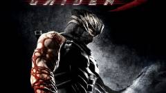 Ninja Gaiden 3: Razor's Edge - nem lesz Wii U-exkluzív kép