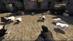Counter-Strike: Global Offensive - ne bántsd a csirkéket kép