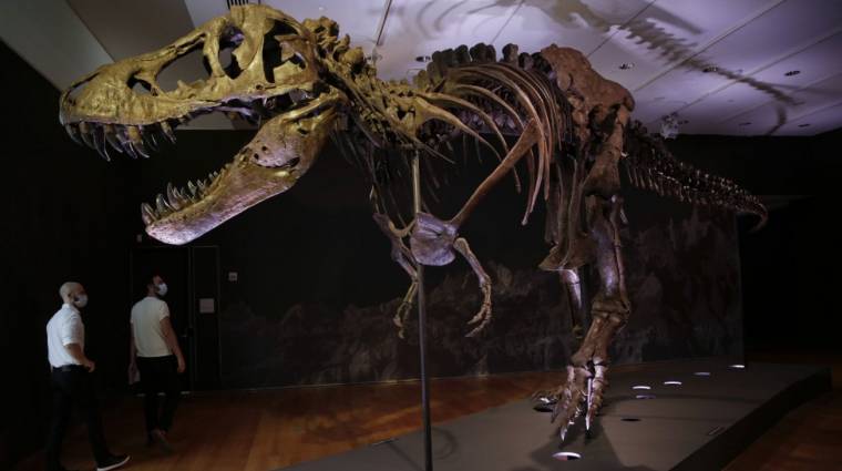 Rekord összegért vásárolták meg egy T-rex csontvázát kép