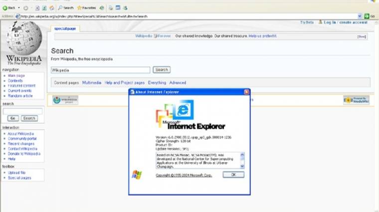 Újabb tüntetés készül a régi Internet Explorerek ellen kép