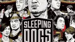 Sleeping Dogs - néhány szó a történetről kép