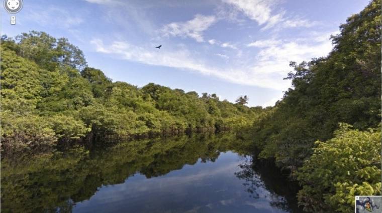 Ismerd meg az amazonasi őserdőt a Google Street View segítségével kép