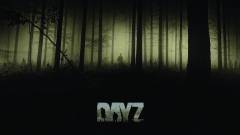 DayZ frissítés - többé nem jönnek át a zombik a falon? kép