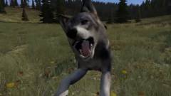 DayZ - ragadozó állatok támadnak az új trailerben kép