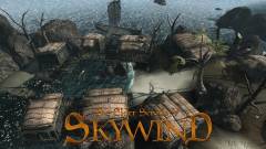Skywind - ha tényleg szeretnéd, segíts! kép