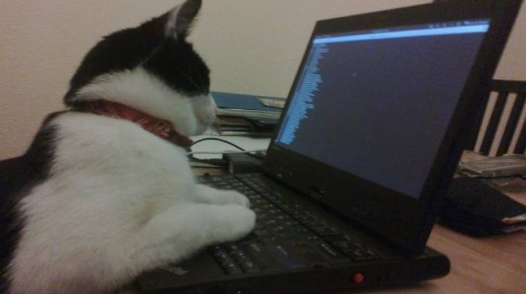 Vasárnapi abszurd: íme a wi-fit hackelő macska bevezetőkép