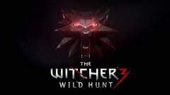 The Witcher 3: Wild Hunt - a CD Project tervei és elvei kép