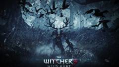 GDC 2015 - itt egy új The Witcher 3: Wild Hunt gameplay  kép
