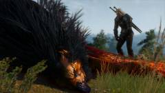 The Witcher 3: Wild Hunt - Geralt eléggé patches figura kép