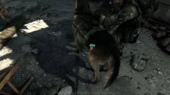 Call of Duty: Ghosts - next-gen szőrzetet kapott a kutya kép
