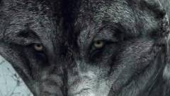 Call of Duty: Ghosts - megjött a The Wolf DLC kép