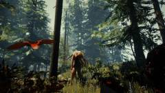 The Forest - ősszel már PS4-en is bevehetjük az erdőt kép
