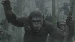 A majmok bolygója: Forradalom trailer - az utolsó esély kép