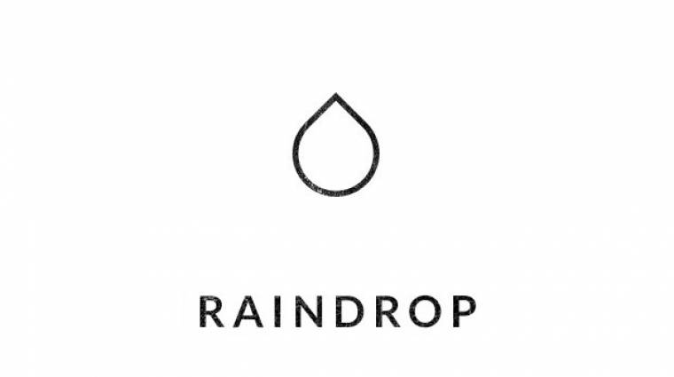 Raindrop - túlélőhorror FPS a Kickstarteren bevezetőkép