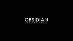 Új játékot vihet Kickstarterre az Obsidian kép