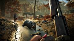 Far Cry 4 - nem mindenkinél állítható a látótér kép