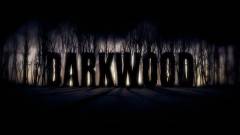 Darkwood - interaktív trailerrel támad az indie horror kép