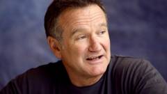 Robin Williamset akarják a következő Zelda játékba kép