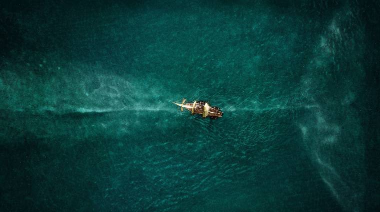 A tenger szívében kritika - nem ezt a Moby Dicket kerestük bevezetőkép