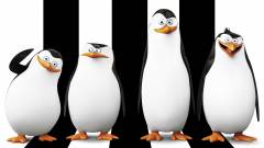 A Madagaszkár pingvinjei kritika - állati ez a mese kép
