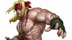 Street Fighter V - bemutatkozott az első DLC karakter kép