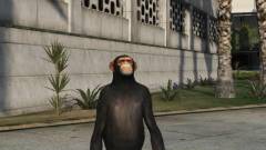 Grand Theft Auto V PC - a repülő majom, aki kocsikat lövöldöz kép