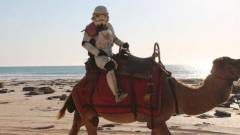 Stormtrooper páncél védte meg az utazót egy halálos kígyómarástól kép