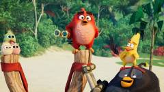 Angry Birds 2.: A film - megérkezett az utolsó trailer kép