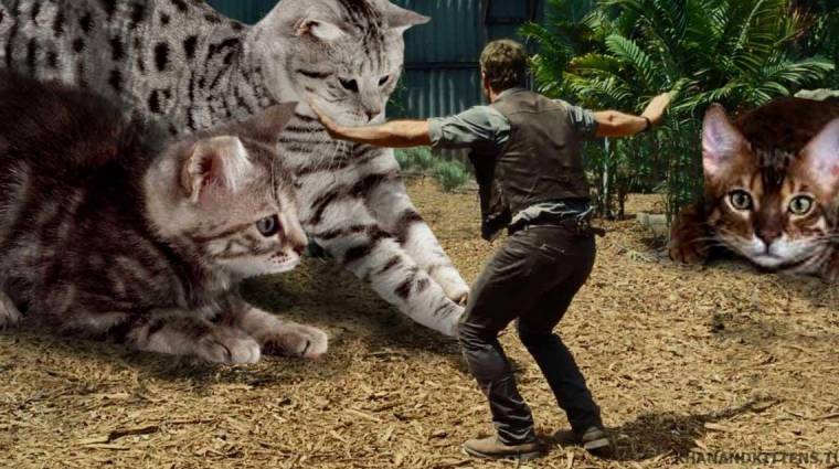 Napi büntetés: ilyen lenne a Jurassic World cicákkal bevezetőkép