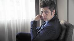 Portré: Benicio del Toro kép