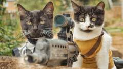 Napi büntetés: így vadász le pár cica egy zombihordát kép